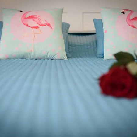 アパート スタジオ ティロニ *