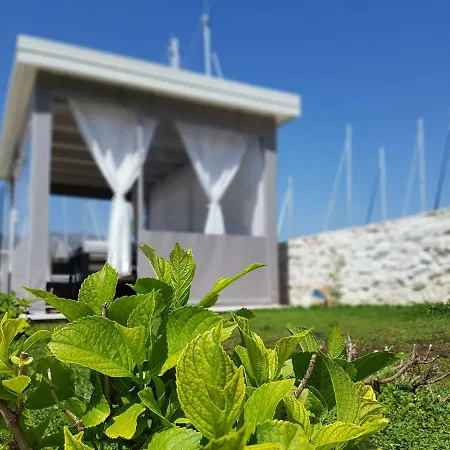 アパート スタジオ ティロニ *